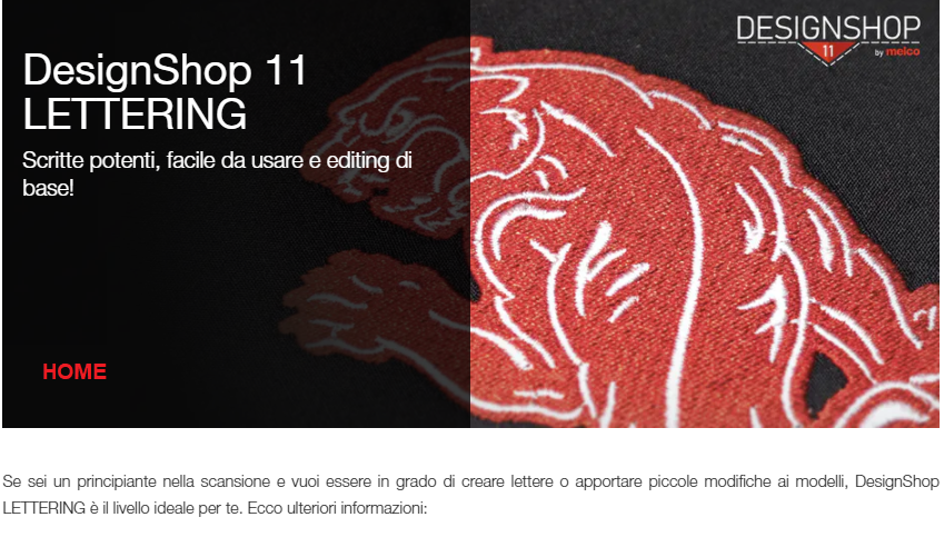 Design Shop v.11 Lettering